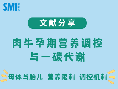 文献分享丨J Anim Sci肉牛孕期营